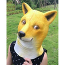 10004600050f21fc03f15bfb4bfb0f8c07cc238719e65fd25ff1dff847cb8118614e517546402217419a1f1f3fa73942