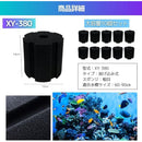 000001c0ffffffffe0a2e0ffe0a2e0ffe1fff3ffffff834f80c5800580008010828d9bae009c009c009c000000b3859a