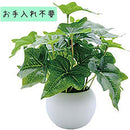 fffffffff85fff3ffe07e01fc803e007e007e001e033f81bfe3bff7ffe3fff7f000000000000726900353b6700007200