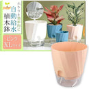 fffff100d800d804f800f386fb82c382c200c7c0ffe1fff1fff1ffe1ffe1ffe10000000000803030000a3d1000000010