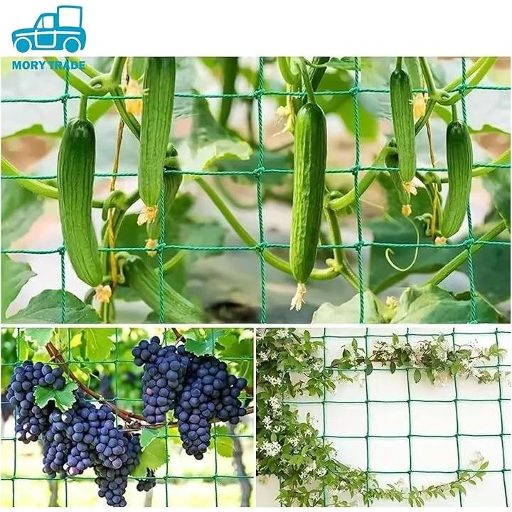 ffff9ffff28be8c1f2c99a119a83d1d18004c006803ca03f800a803fc09fde2e000000006b3d1f1600463f459c523c30