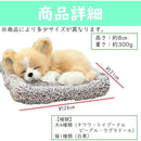 000000700430ffffffeff3fab1ff103f0817a7d38127c01ffffffc00fe5dffff6f6f6f6f0000000024321aff00000000