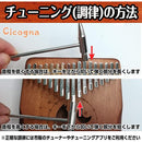 000000510000ffbfffbf3fbf8fff691b03cce013e04be0032003000311eeffff