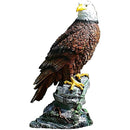 ffffffbfff8fff0ffe0ffc0ffc0ff81ff83ff01ff01ff03ff43ff81ff01ff01f