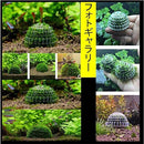 ffff14e440ff48fb00e940601fe21dfe087344950c13008f2a832a80319a008e0000000000492f76a22755799c141915