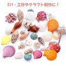 ffffed45fffffbcfc38fcbd3f0e1f610c07ce1118edfc8f1ce418c03f0b3ffff0000000000f700eb00117c26ab000101