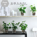 ffffbbff8bfffff85f9cfe9efb5e3fff07ff1dff175f099f00cf00df000f000f92909b908997727b2b7580801e5f7b9e