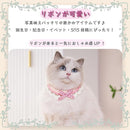 ffffe6a73c1fbe3fbffebffebffff600f400fc00fc00bc20bf00fe407e00a00117171717170000001707fd0017090003