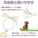 ffffc225c2f7ffffffefffffdff387fffaefdcfffce7fdefdfcfffc29ed5edae0000000000000000000000000000002b