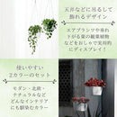 fffffffffffffcfff2fff6fdfbbfffffffffff80ff80ff80df80ff80ff80ef80326b3d41363b3d3f404041414141448b