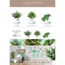 00000120ffffefffceb9eff7ffffffffe99ffff3d80988158fea02bc19fc224f10101010000038d5000000001b1212bd