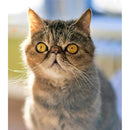 fdfffdfff7e3f80ff00ff20fe007e107f406ff83f101f001720018001c001f000000979a1f17182e2515151e15151700