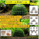 ffffdf688101800780078006e006b4efff9f94edffd7d6d0a80ffa01e80780000000808000244a290021213b00373f3d