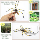 ffffdff0fef1fff1fcb1f8f0e1f081f281f0ffff87ff87bf871fffaeefa7bfff000000d52b00d5762b0b923c00341feb