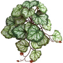 ffffff1ff81ff05ff01fc107c007c027801fc04bfc07f80ff81ffd1fff9ffb7f