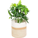 ffffff7ff83ff00ff047f0a3e80fe80ffc27fc07fffff7fff81ff5fff10fffff0000000000493d410000394000191500