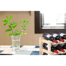 00bf009f009f419f009f019f079f038001801fed19e019fa19ecfba8fff87f391816150019181700182419e4181c1717