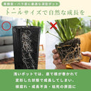 fffffffffecfffffff81a08080e105e101c001c0a1c203c1e3c00468160018a0202020208b2b6b351209001718001315