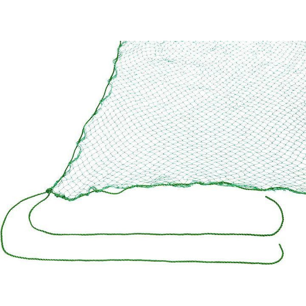 ffd1fe1bfcfbff5ffb9bfef9fdb1f6dddffdfffffffdbfffffffffffffffffff00006b7100006d8000d5000000000000