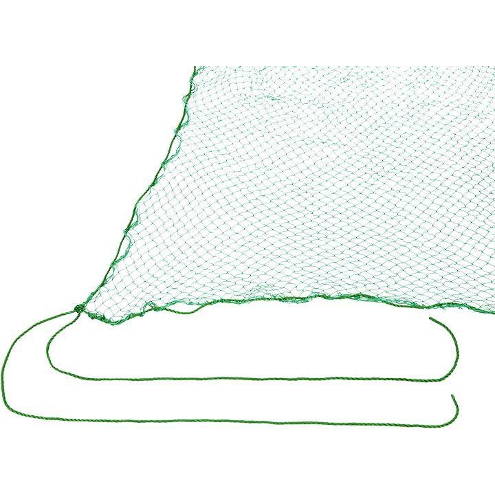 ffd1fe1bfcfbff5ffb9bfef9fdb1f6dddffdfffffffdbfffffffffffffffffff00006b7100006d8000d5000000000000