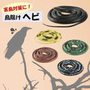 ffffffffff808b80ffc1f3ffe69fc61fcff6cf30941ffe21ffe1ff61fbfdfff91313131513141500131313541313135e