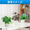 ff8006100000ffc0ffc6ffc0ffc0ff40ff80ee008200c3dce3eeefffeffffffc92939495ab0022122b2b32972b4b3c47