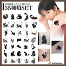 000057c36bc17fc50b6b7fdd2f7d7ff66b7e7fef2d406ff87fd12b677fc76f7f101010000900fc0c0600060f07000010