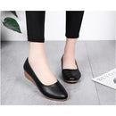 ffffb1cf91cfd1cfb19fb1ff9fbfbfbf9fbfb7ffb71fe30de31ff81ff83ffebf002b2b2b00ababab0005b3bd00b3abb3