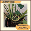 000048ff501f4a477b6f7b7d733b501348015007600160056001607f707f7ffb01010101011046130129442e01020043