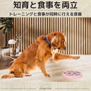 fffff687ffffffff056a016a000a300a100a706a000300ff03ffef5fffffffff181c1c1f2b110f1b1312141912141317