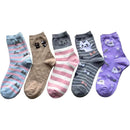 ffffffffffffea4dc04dc869c810d211e110c169a08181819253ffffffffffff00000000001399000094f59a001109b2