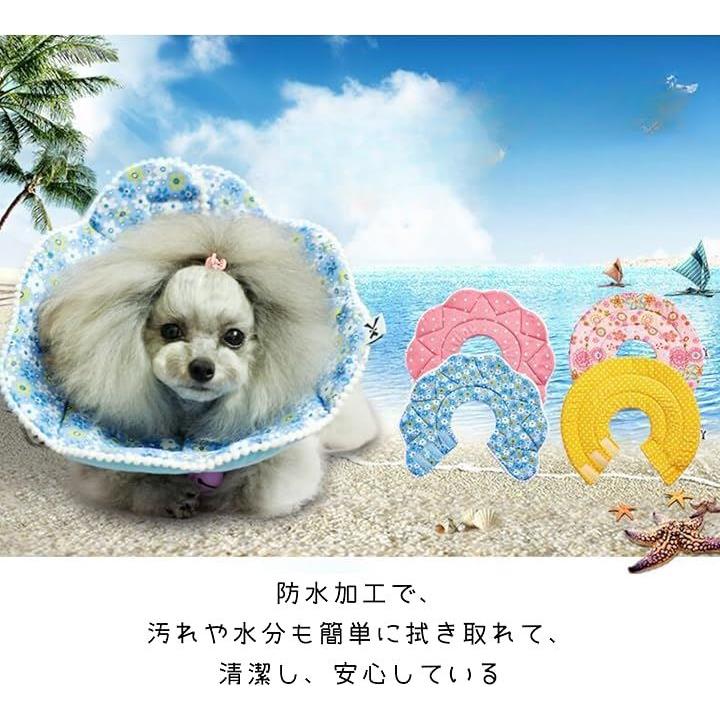 ffff100001e0afe087ff2ffffcff80ea81e041f03d6a00b62eacffbff95ffbef000000008c418e908f2b2bf8211a211f