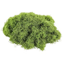 fffffffffffffffff807e003c00380018001c000e000f001fc0fffffffffffff00000000003135320038383a00313600