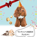 be7ff1ffc3bf1f1dfe1ffe0ffc0ffe4fef0ee60ff20ffe0bfffffffffc748fc78585ff7c86851085851c148500000000