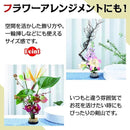 ffffd651ffff87e7ddefe7eff7ffffceffafef87f8ffc7ffc3dde6cbe7f5f5ff000000290000008000802b30293d0000