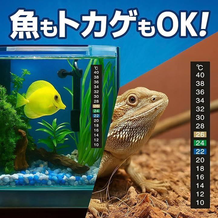 0f603fbb7fd7bfff0fff217c117c397c385c0068008100dc003cfd2c000c013c949292939a908b8d5232841a574b1715