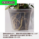 01ff45ff0007f407f007f407f003f803f803fc03fc0ffe07fc07ffffd6c5ffff5c5c00000010302b00debdfc00f51cde