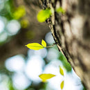 c00c80e801408182f006f00ee04ec058078403e613e17f613ff21feedffedc6e