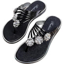 fffffc0ff41ff03fe13fe071d0a181438041839fc607fd07f80ff00ff01ff03f0000000000b300a200b3b2a200abb200