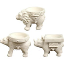 ffffffffffffffdff85ff80ffc1ffedffffff8fc82e08080e0c0ede4ededffff00000000000025000000000000190019