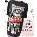 bdffe00fe607e657e647e787c387e547e84ff21be51ff21ff41ff43fe63fe0781b221b1b1b95929b1b64060b1beb04ff