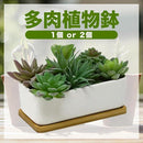 00807fff71c36b4763237f7f7c4f440160014007707f7bfffffdef87f07fffff3a294e18313a3c3a3224503b2424242b