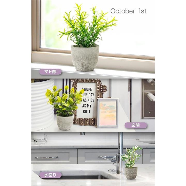 3fff3fff3a5f30ff3c7f3c785c60201ac9bee3eee36ef7c87fff00000000a01b15000000153a3700336b241c329c9c9c