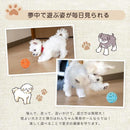 fffffffff4b3e7ff807f8bb98fab863f815cc7f0b7b0f6a8fa00ffe0f7e77bff1f1f2b1f1e1513241e1596221c071116