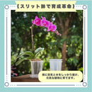 fffff387dffdc001c2c1c0c1c001c001c001cc01c801c161c161c507c1ffffff2b8989897e57db157e2b35327e323a30