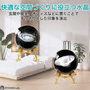 f1ffa2c2f0fff22ff2fff0ff50ff0cff11fce5e4f7ccfff9ff03f80380dbfdff1010070b001010003a00b3abb209079c