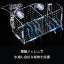 00001c6a1a781c120e1a100e010406c204e00e200281020000000000045000009c9c9c9c00a500a400ab94b39c9c9c9c