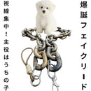 ffffbe7ebe3fbe7ffe7efe7ffaa7fc9ffe9ebc1ff61efd6ff8def9fffddffdff00001b000000250000002b0000008000