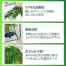 00004fff731f42ab47ff7fff4fff4eff4fb343d953ff7fff47ff43ff43cf43ff484b515a4744000046f2807b464a0000