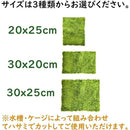 ffff904dffffff1feb1fff1fffffff0fff0fff0fff0ff70fff0fff0fbc9fb1170000000000de37000052380000003400